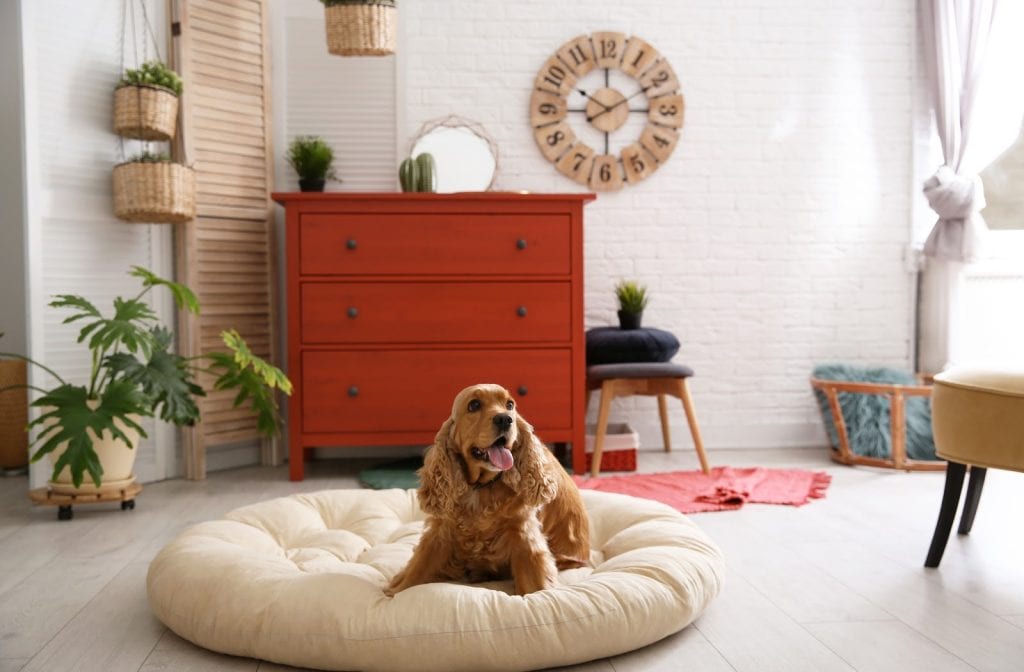A dog laying comfortably on a dog bed in a living room