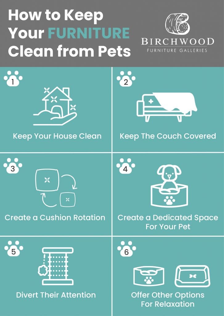 Five easy steps to keep your furniture clean from your pets