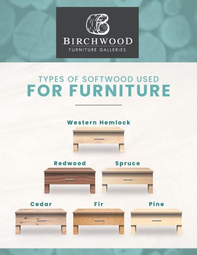 A graphic to show the different types of softwood and their colour and texture.