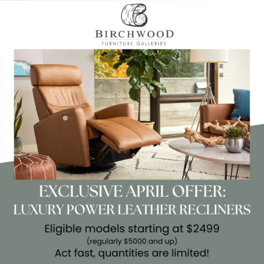 Exclusive April Offer: Luxury POWER LEATHER Recliners