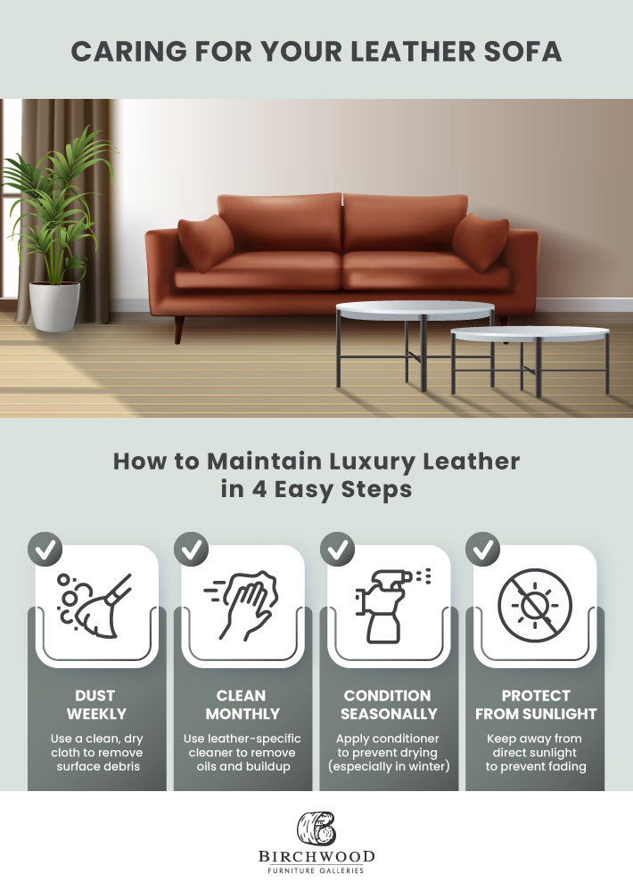 An infographic explaining how to care for a leather sofa, including dusting weekly, cleaning monthly, condition seasonally, and protect from sunglight.